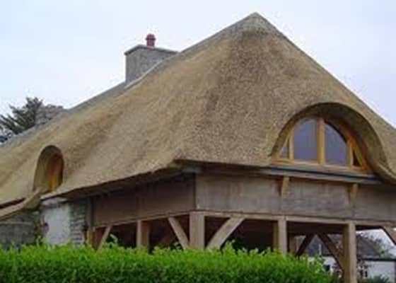 nádtető